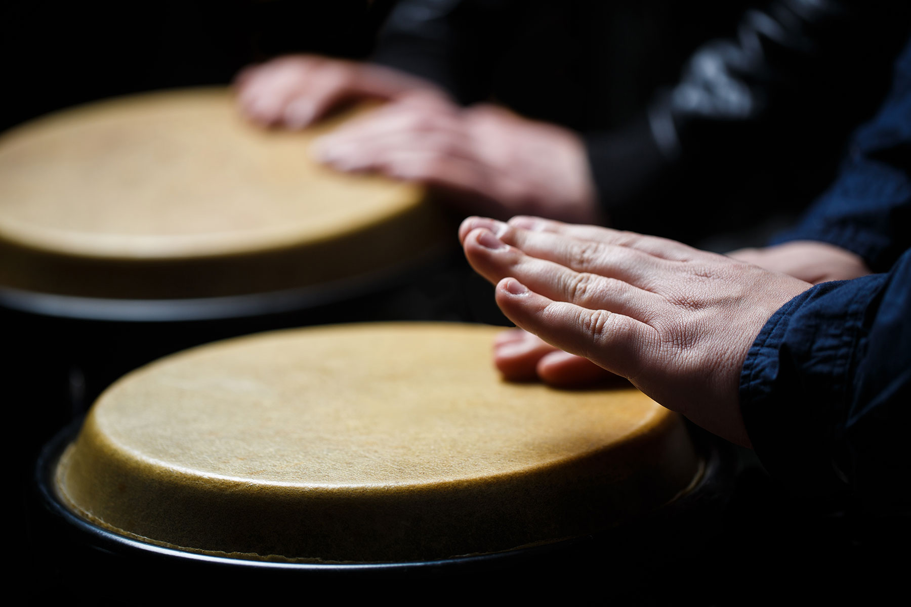 Bongo Player